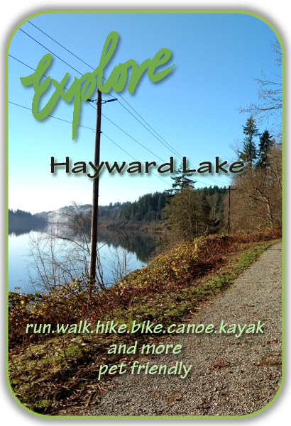 hayward